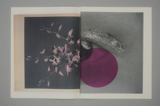 CRADLING THE SINGING BIRD | JULIE WOLFE x PAN