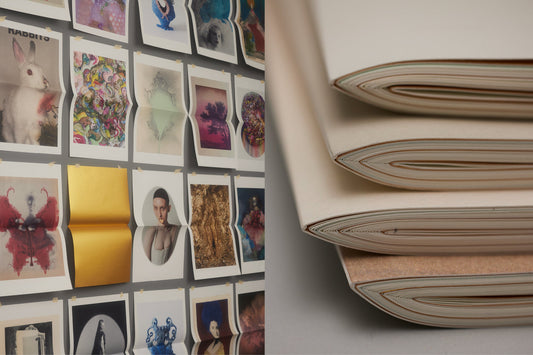 THE BEHOLDER | JULIE WOLFE x PAN