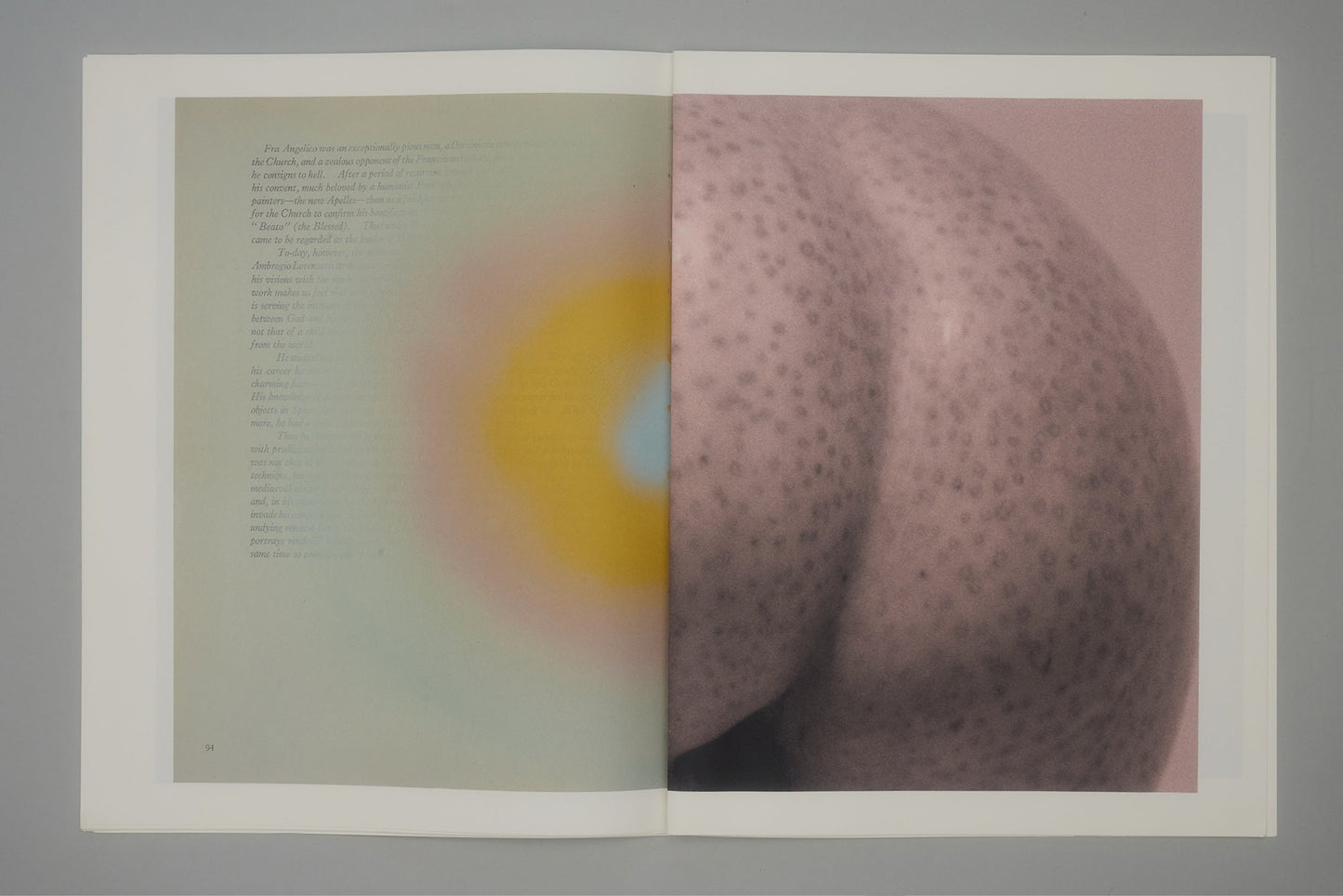 CRADLING THE SINGING BIRD | JULIE WOLFE x PAN