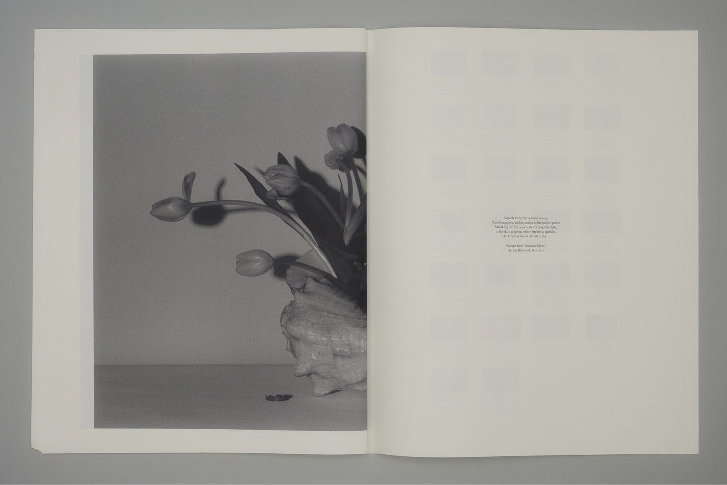 CRADLING THE SINGING BIRD | JULIE WOLFE x PAN