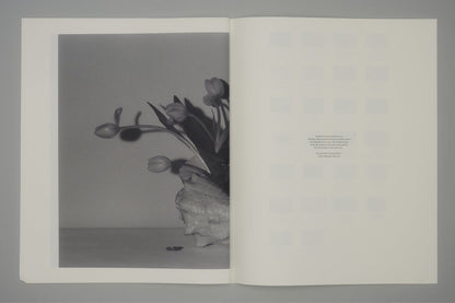 CRADLING THE SINGING BIRD | JULIE WOLFE x PAN