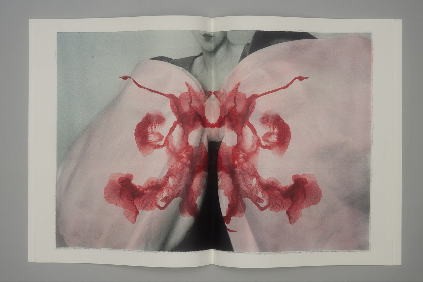 CRADLING THE SINGING BIRD | JULIE WOLFE x PAN