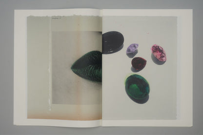 CRADLING THE SINGING BIRD | JULIE WOLFE x PAN