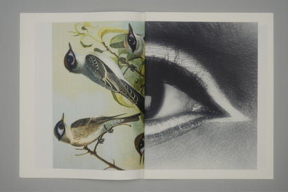 CRADLING THE SINGING BIRD | JULIE WOLFE x PAN